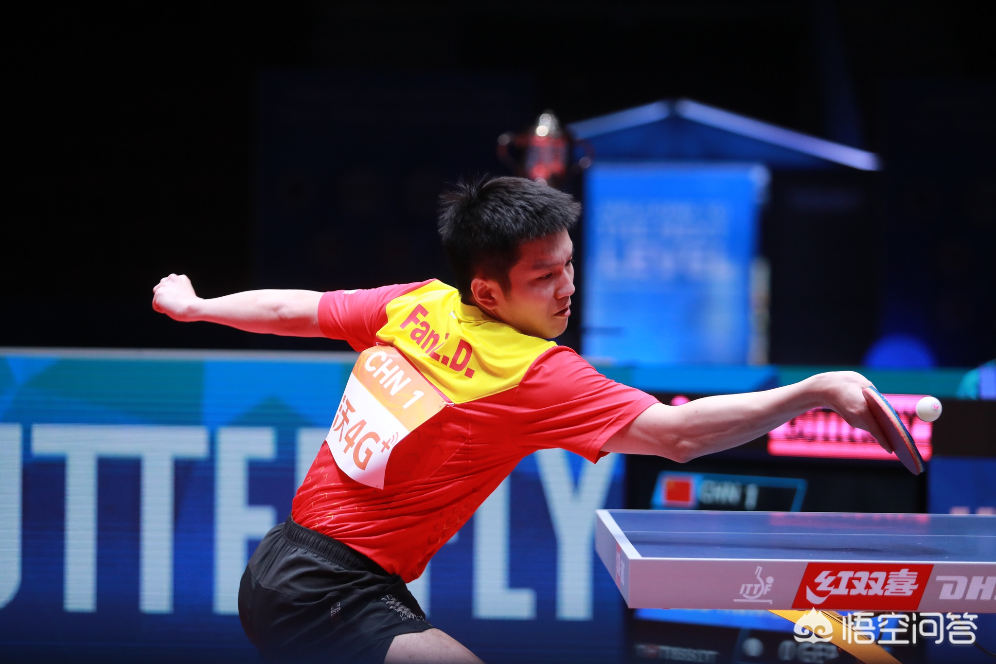 体育界交流 体育界交流