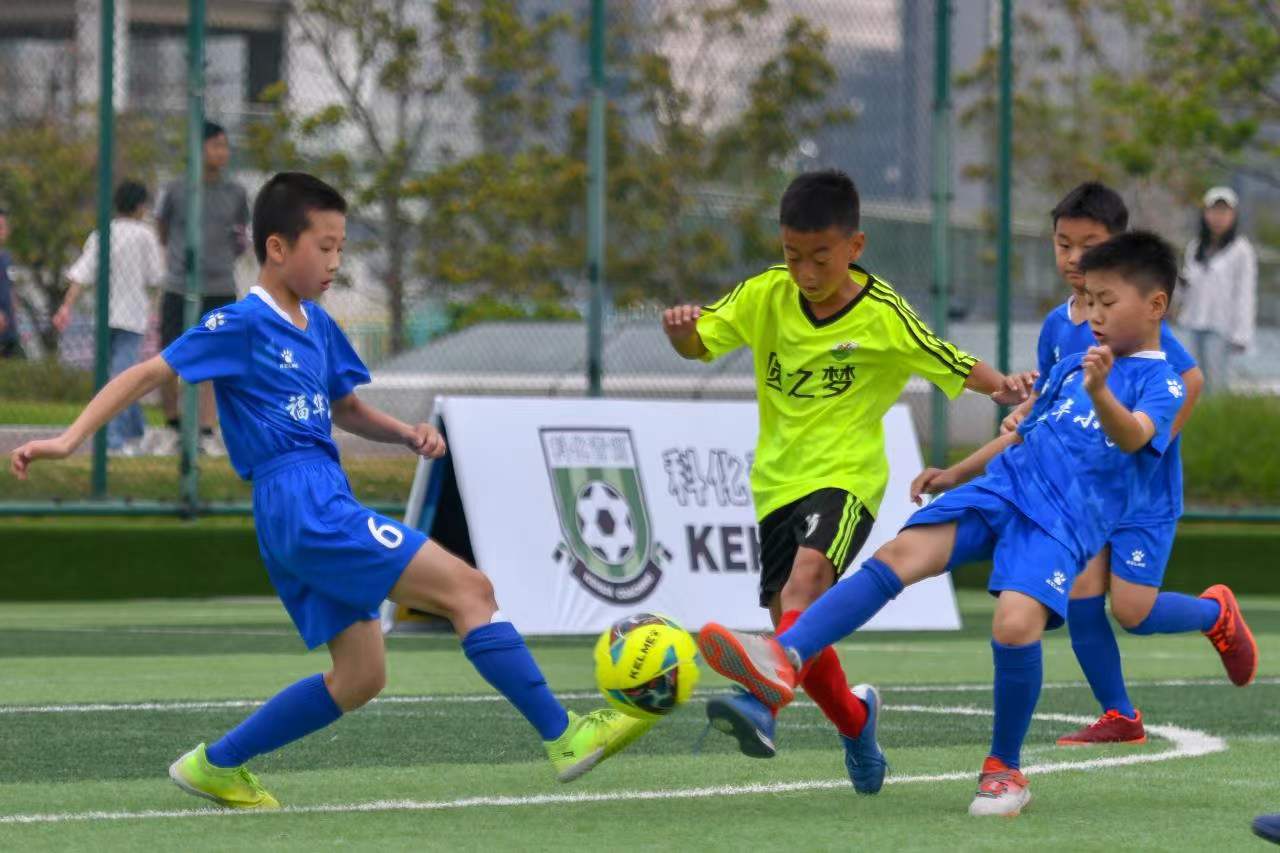 生涯的重要 生涯的重要