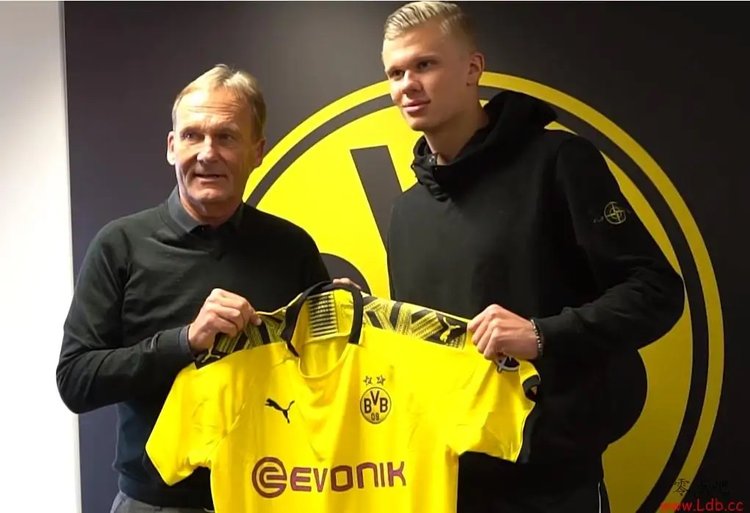 坚持开发球 坚持开发球